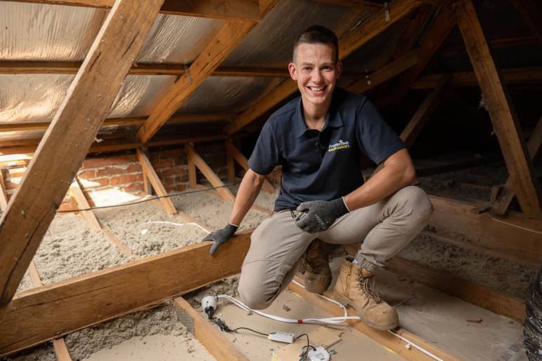 Benefits of Hiring Professional Insulation Removal Services