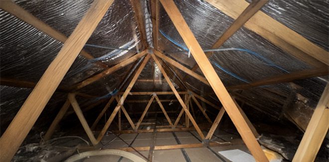 insulation removal service