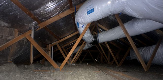remove insulation